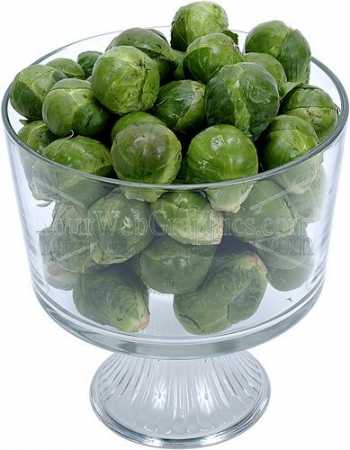 photo - brussel-sprout-jpg
